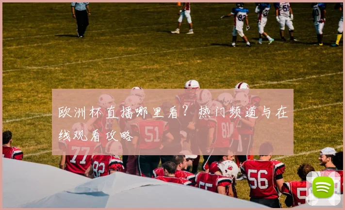 欧洲杯直播哪里看？热门频道与在线观看攻略