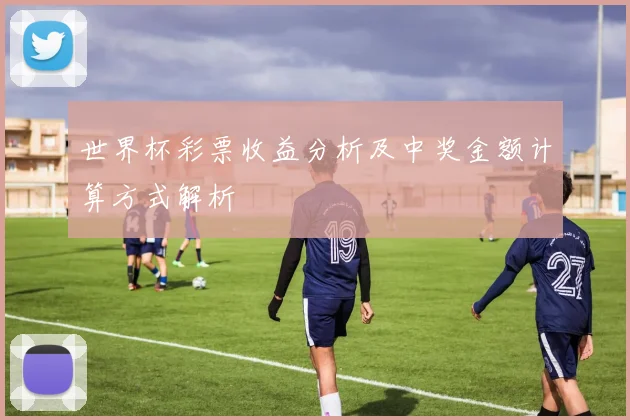 世界杯彩票收益分析及中奖金额计算方式解析