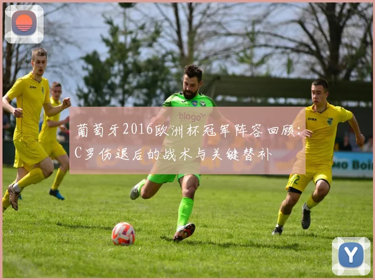 葡萄牙2016欧洲杯冠军阵容回顾：C罗伤退后的战术与关键替补