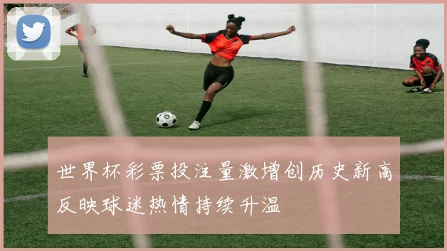 世界杯彩票投注量激增创历史新高反映球迷热情持续升温